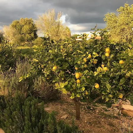 Villa Alba Llucmajor (Mallorca)